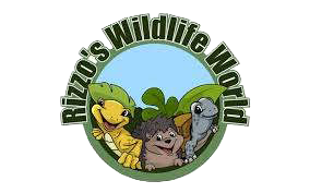 Rizzo's Reptiles